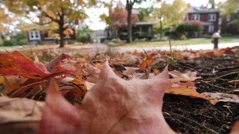 FALL SCENE, LEAF ON GROUND, OLD NEIGHBORHOOD, SLO-MO Stock Footage 143014217