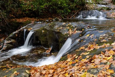 Fall scene of multi-colored leaves in a mountain stream 库存照片