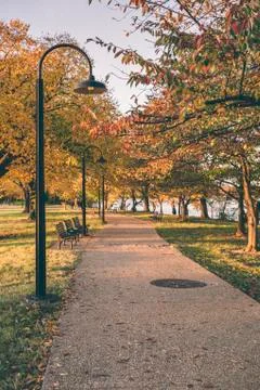 Fall scene with a walking path and a lamp post Stock Photos