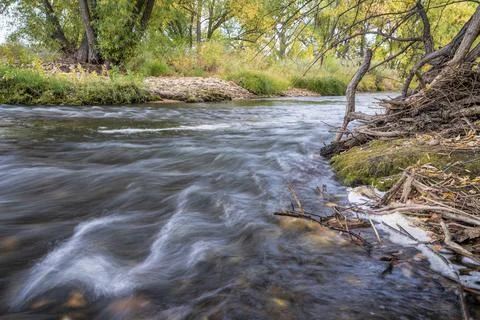 Fall scenery of Cache la Poudre River Foto stock