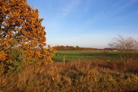 Fall scenery Stock Photos