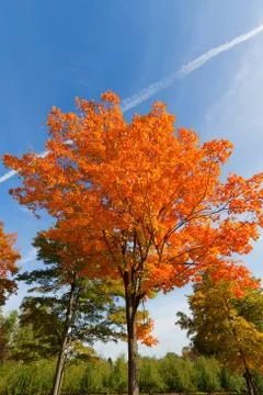 Fall Scenery. Stock Photos