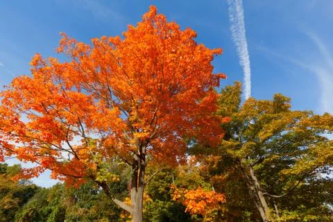 Fall Scenery. Stock Photos