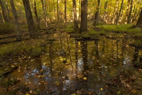 Fall Scenery. Stock Photos