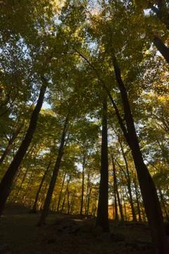 Fall Scenery. Stock Photos