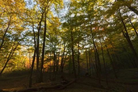 Fall Scenery. Stock Photos