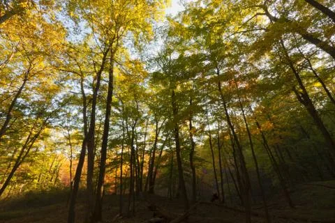 Fall Scenery. Stock Photos