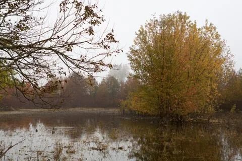 Fall Scenery. Stock Photos