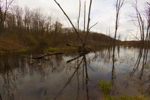 Fall Scenery. Stock Photos