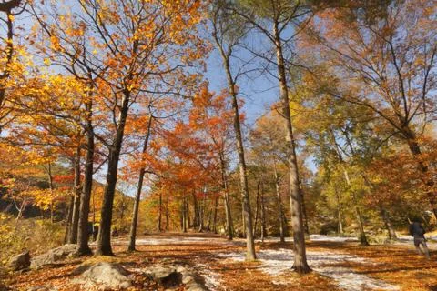 Fall Scenery. Stock Photos