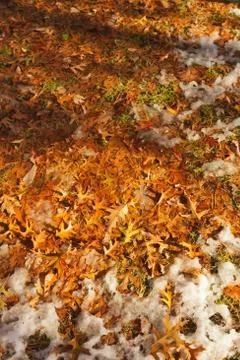 Fall Scenery. Foto stock