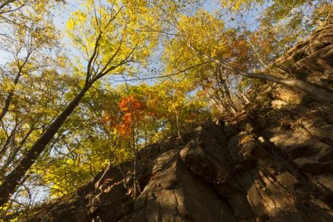 Fall Scenery. Stock Photos