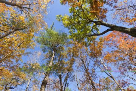 Fall Scenery. Stock Photos