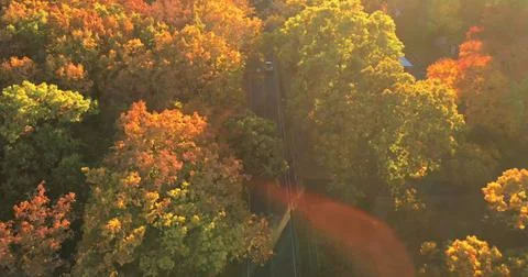 Fall Scenic Drive Through Vibrant Autumn Trees Stock Photos