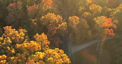 Fall Scenic Drive Through Vibrant Autumn Trees Stock Photos