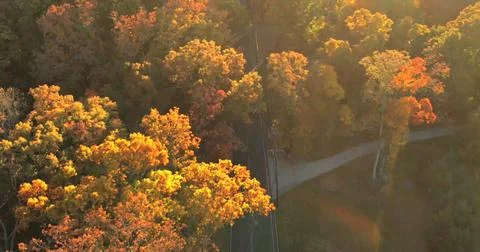 Fall Scenic Drive Through Vibrant Autumn Trees Stock Photos