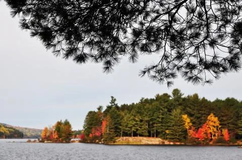 Fall scenic Foto stock