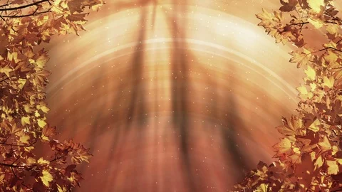 Fall Season Background Video stock 94530591