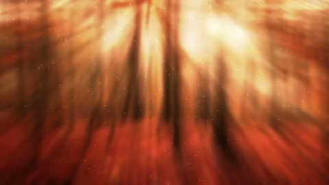 Fall Season Background Stock Footage 94581518
