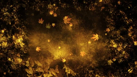 Fall Season Background Loop Stock Footage 162708328
