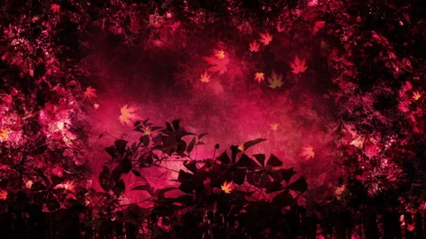 Fall Season Background Loop Stock Footage 162709427