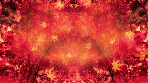 Fall Season Background Loop Stock Footage 162710271