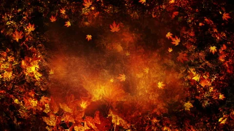 Fall Season Background Loop Stock Footage 162710885