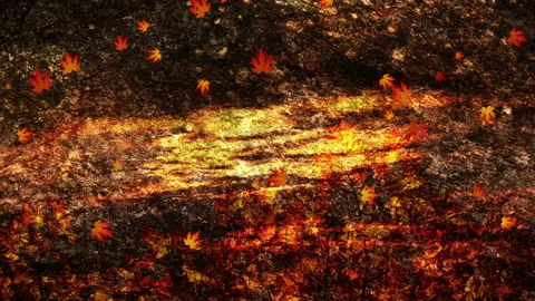 Fall Season Background Loop Stock Footage 162721543