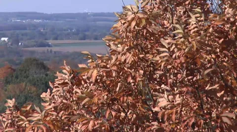 Fall Season Stock Footage 32898690