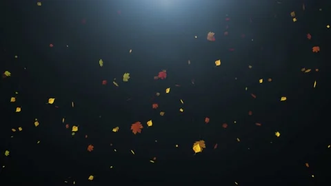 Fall season leaves fall down on black background 動画素材 231633669