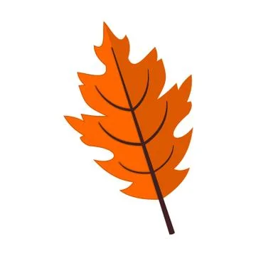 Fall Season Oak Leaf Vector Illustration Graphic Stock Illustration