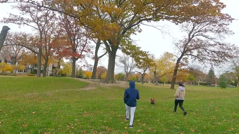 Fall season at the park Stock Footage 166002167