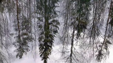 Fall Season. Reflection of Bare Forest in Ripple Water Surface Video stock 119008137