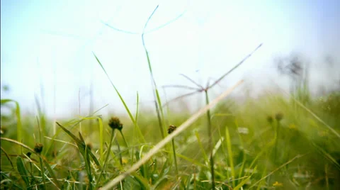 Fall Season in Texas Stock Footage 32632538