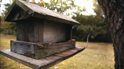 Fall Season in Texas Stock Footage 32632720