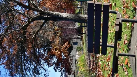 Fall season vertical bench Video stock 255293540