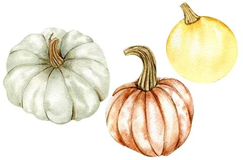 Fall set with pumpkins. For cards, backgrounds. Watercolor illustration for.. Illustrazione stock
