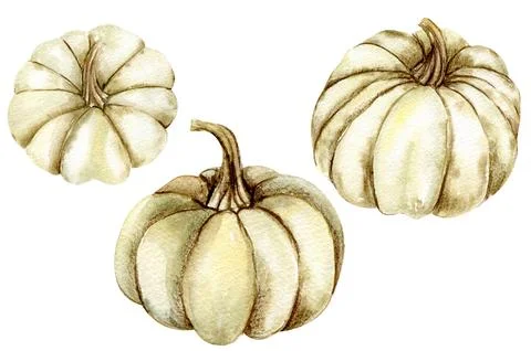Fall set with pumpkins. For cards, backgrounds. Watercolor illustration for.. Illustrazione stock