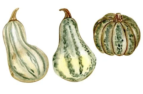 Fall set with pumpkins. For cards, backgrounds. Watercolor illustration for.. Stock-Illustration