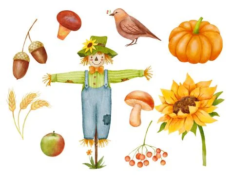 Fall set with wheat and acorns. Watercolor scarecrow character with bird Illustrazione stock