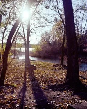 Fall Shadows Stock Photos