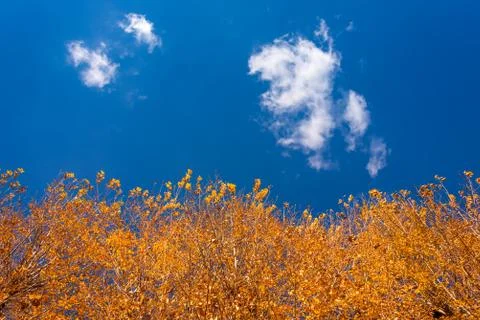 Fall Sky Stock Photos