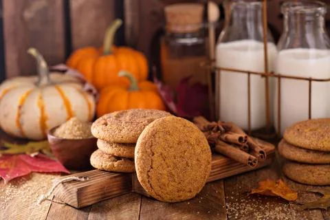Fall snickerdoodle cookies with pumpkin Stock Photos