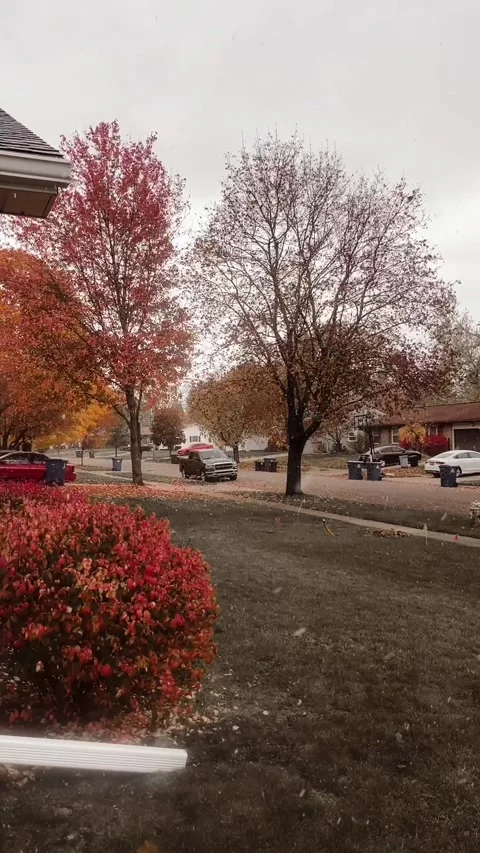 Fall snow Stock Footage 279523696