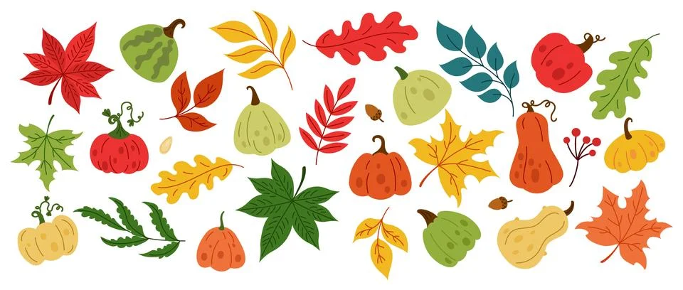 Fall squash. Autumn flower pattern gourd, leaf and harvest pumpkin. Doodle .. Illustrazione stock
