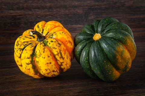 Fall squash Stock-Fotos