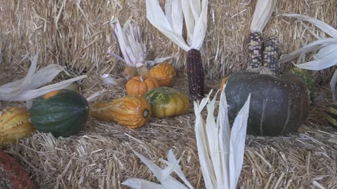 Fall Squash on Straw Stock Footage 98100864