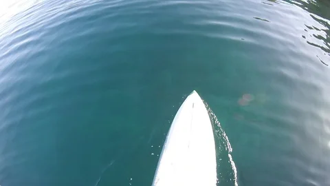 Fall from stand up paddle in slowmotion 库存影片 116441225