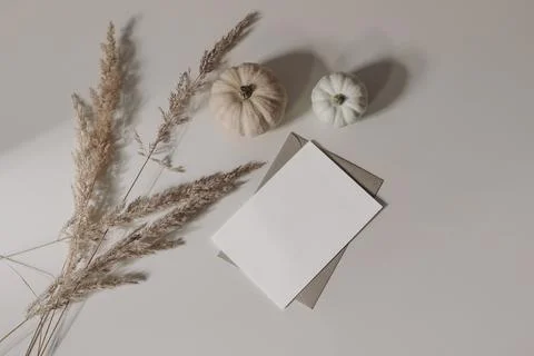 Fall still life. Empty greeting card, invitation mockup, craft envelope. Little Fotos Stock