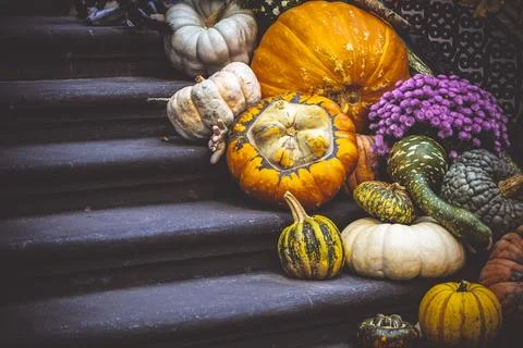 Fall Still Life with pumpkins on a front of the house against colorful Stock Photos